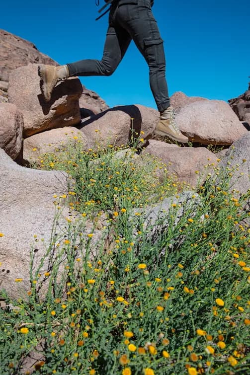 Otevři kdekoliv *na cestách*, funguje hned.