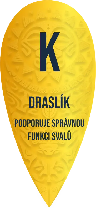 Draslík